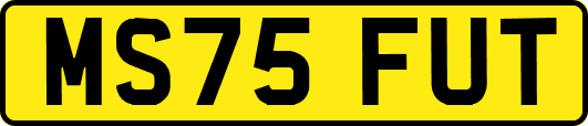 MS75FUT