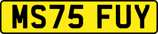 MS75FUY