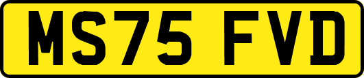 MS75FVD