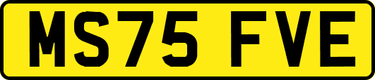 MS75FVE