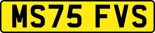 MS75FVS
