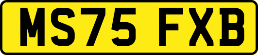 MS75FXB
