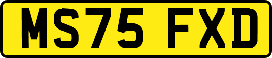MS75FXD