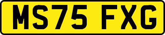 MS75FXG