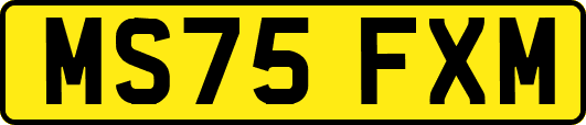 MS75FXM