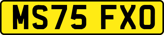 MS75FXO