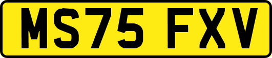 MS75FXV