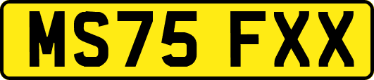 MS75FXX