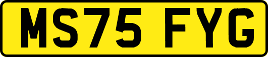 MS75FYG