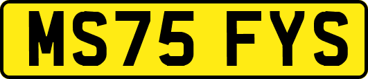 MS75FYS