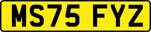 MS75FYZ
