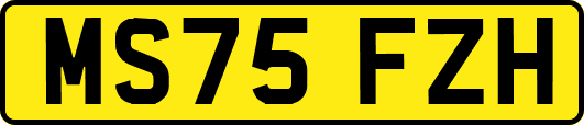 MS75FZH