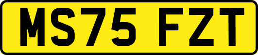 MS75FZT
