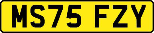 MS75FZY