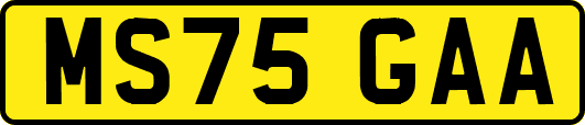 MS75GAA