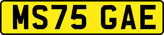 MS75GAE
