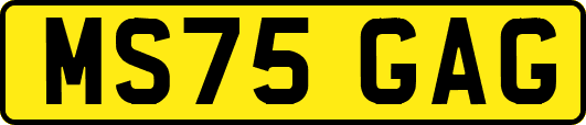 MS75GAG