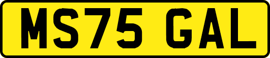MS75GAL