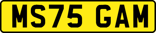 MS75GAM