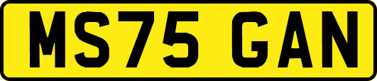 MS75GAN