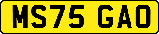 MS75GAO