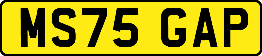 MS75GAP