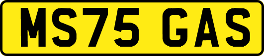 MS75GAS