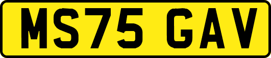 MS75GAV