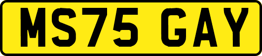 MS75GAY