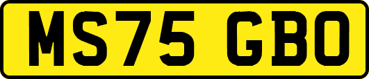 MS75GBO
