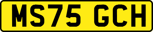 MS75GCH