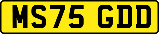 MS75GDD
