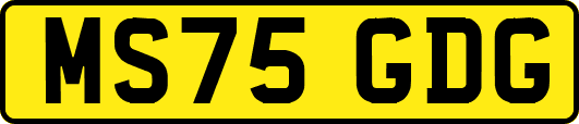 MS75GDG