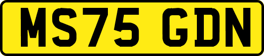 MS75GDN