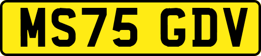 MS75GDV