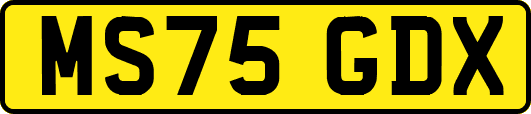 MS75GDX