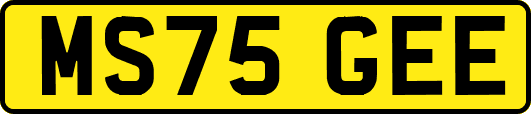 MS75GEE
