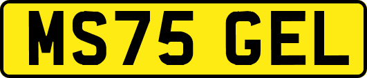 MS75GEL