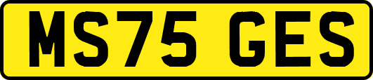 MS75GES
