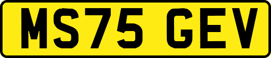 MS75GEV