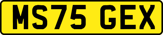 MS75GEX