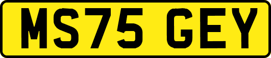 MS75GEY