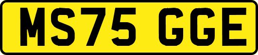 MS75GGE