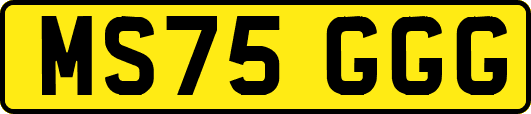 MS75GGG
