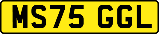 MS75GGL