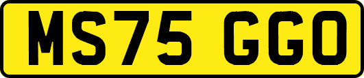 MS75GGO