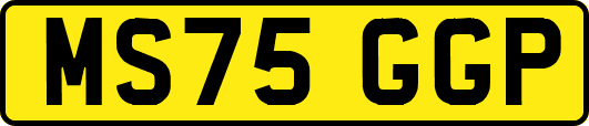 MS75GGP
