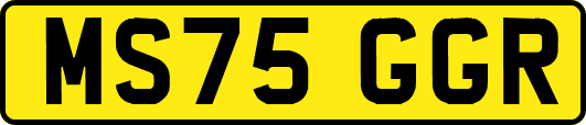 MS75GGR