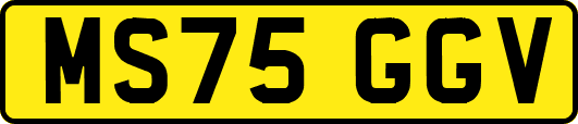 MS75GGV