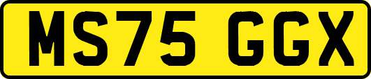 MS75GGX